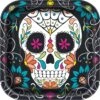 Plates - Skull Day Of The Dead -Halloween Kostuum Winkel 77065 thumb
