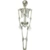 Halloween Skeleton, 150 Cm -Halloween Kostuum Winkel 83314595a
