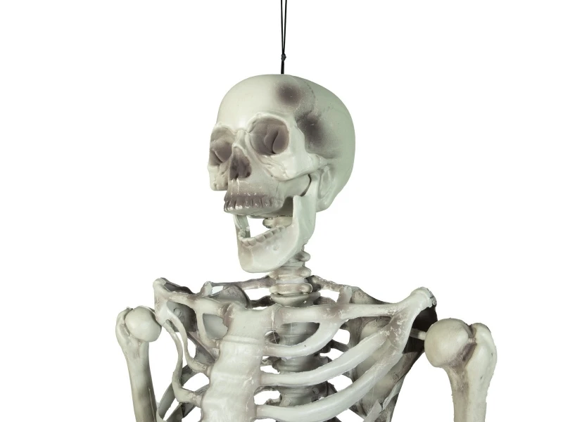 Halloween Skeleton, 150 Cm 4 Halloween Skeleton, 150 Cm - Afbeelding 2
