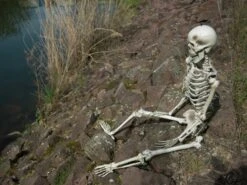 Halloween Skeleton, 150 Cm 8 Halloween Skeleton, 150 Cm -Halloween Kostuum Winkel 83314595d