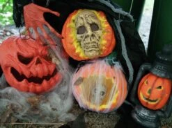 Halloween Pumpkin In Spider Web 25cm -Halloween Kostuum Winkel 83316074e