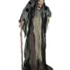 Halloween Witch, Nahema, 160cm 1 Halloween Witch, Nahema, 160cm -Halloween Kostuum Winkel 83316105a