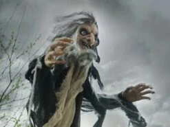 Halloween Witch, Nahema, 160cm -Halloween Kostuum Winkel 83316105e