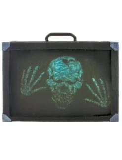 Koffer Met Licht En Geluid