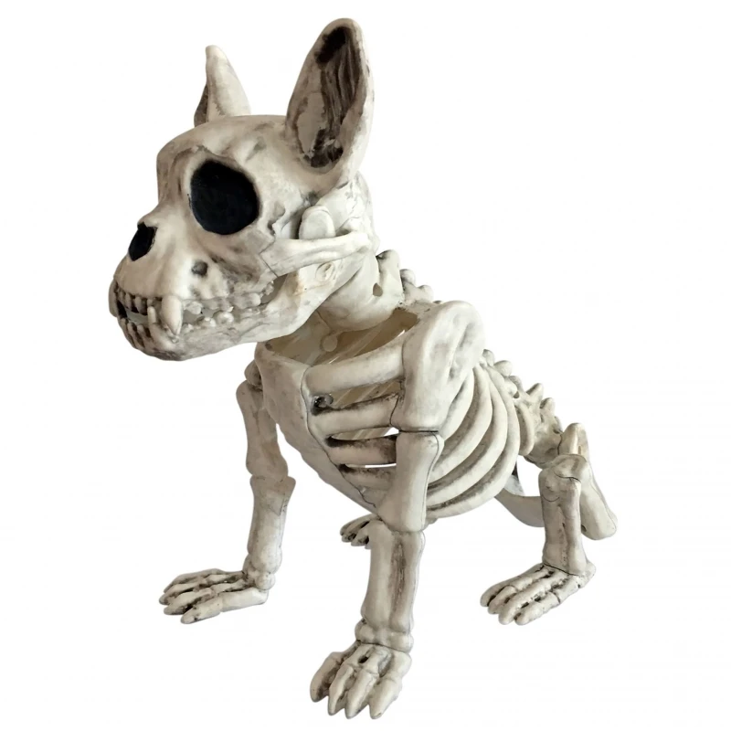 SKELETON DOG 3 SKELETON DOG
