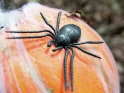 Halloween Pumpkin In Spider Web 25cm -Halloween Kostuum Winkel a 1601551891 83316074d
