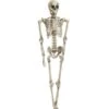 Halloween Figure Skeleton 1 Halloween Figure Skeleton -Halloween Kostuum Winkel europalms halloween figure skeleton 165 cm