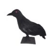 Halloween Raven 30x11x23cm