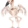 Skeleton Crow 20 Cm -Halloween Kostuum Winkel skeleton crow 20 cm